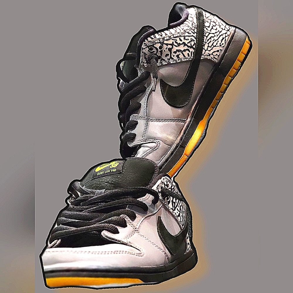 NIKE SB DUNKS PREMIUM  size 10